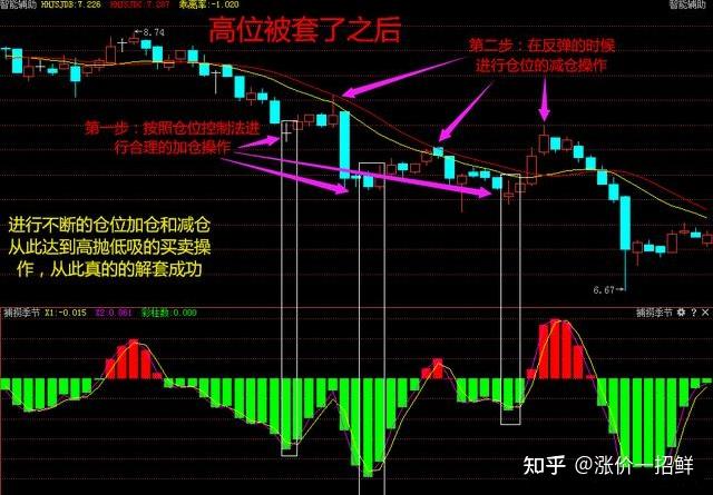 大圩镇：黄皮满枝头致富“黄金果 ”