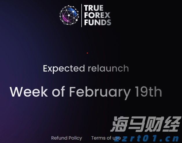 AI首次在数学奥赛中获金！谷歌Gemini与OpenAI齐头并进